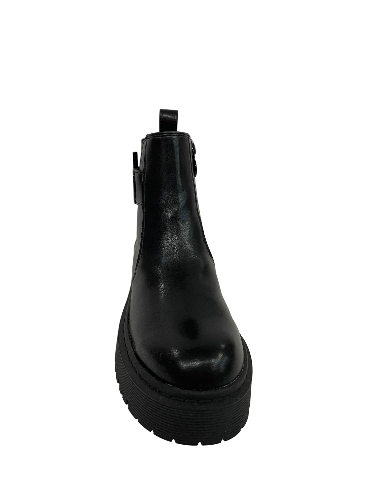 Anfibio Rocco Barocco